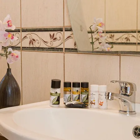 Horizon プロタラス